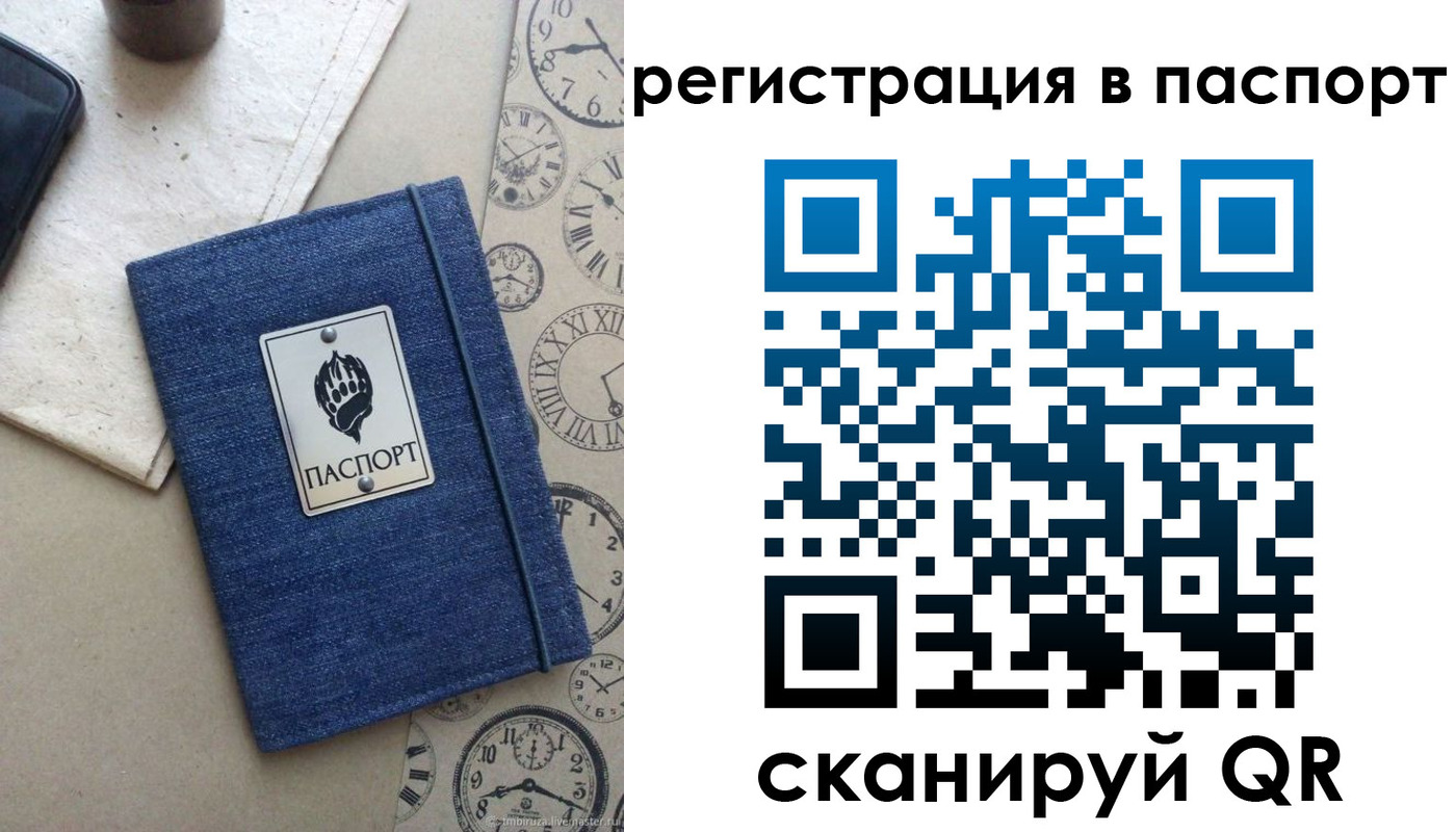 прописка в Александровске